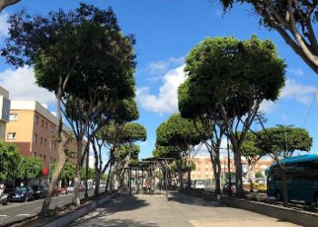 Telde impulsa la recuperación de los quioscos de las Ramblas de Arnao con la exposición pública del proyecto