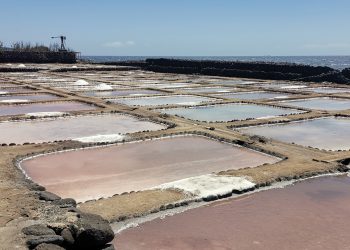 Un paseo por la historia de la extracción de sal virgen en las Salinas de Bocacangrejo