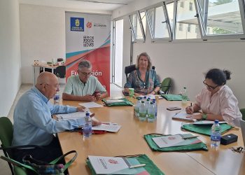 La Fundación Gran Canaria Accesible licita la compra de dos vehículos especiales con espacio para 4 sillas de ruedas por 188.700 euros para renovar su flota de 10 unidades