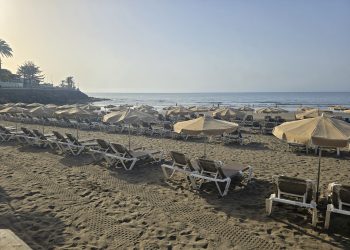 Turismo de Gran Canaria expresa su preocupación por la presencia de roedores y basura en playas de San Bartolomé de Tirajana