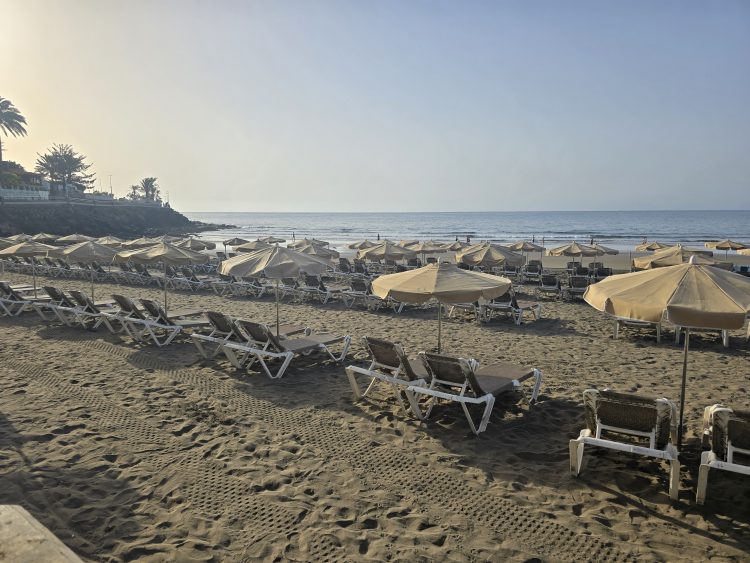 Turismo de Gran Canaria expresa su preocupación por la presencia de roedores y basura en playas de San Bartolomé de Tirajana