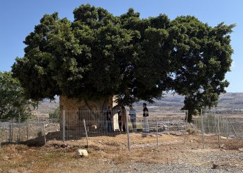 Urbanismo ordena el vallado de la Casa del Mato en El Tablero 