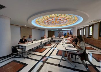 Canarias plantea al Consejo de Desarrollo Sostenible que incorpore a su acción a las generaciones futuras