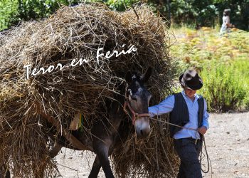 La Feria de Ganado del Pino cierra este viernes el plazo de inscripción de participación