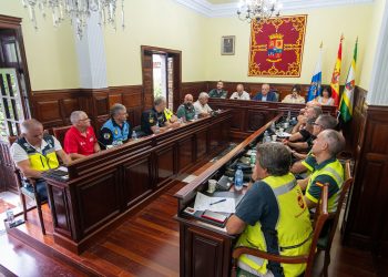 La Fiesta del Pino estará custodiada por más de 600 efectivos de seguridad y emergencias