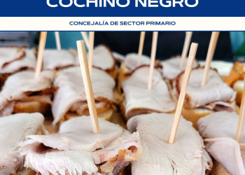 Telde invita a la hostelería a participar en las I Jornadas del Bocadillo de Pata y del Cochino Canario 