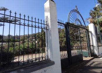 El Parque de Sintes reabre sus puertas este viernes y se estrena con los ‘Tardeos del Pino’