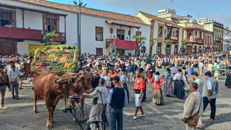 MOGÁN LLEVA ANTE LA PATRONA DE GRAN CANARIA 375 KILOS DE PESCADO FRESCO Y 1.300 KILOS DE FRUTAS Y VERDURAS
