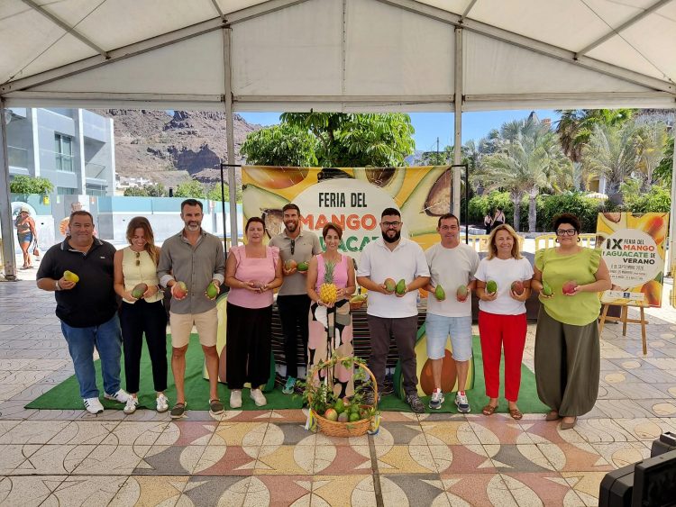 Mogán celebra este domingo la novena Feria del Mango y el Aguacate con la previsión de superar los 10.000 visitantes