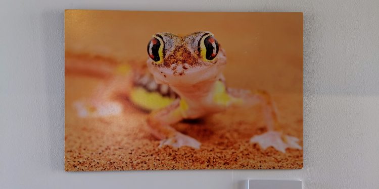 La exposición fotográfica ‘(Con) Macro’ invita a descubrir la belleza de lo diminuto