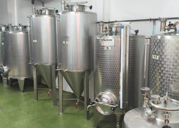 La Almazara Municipal de Ingenio inicia el 28 de septiembre la recogida de aceitunas de la campaña 2026-2027