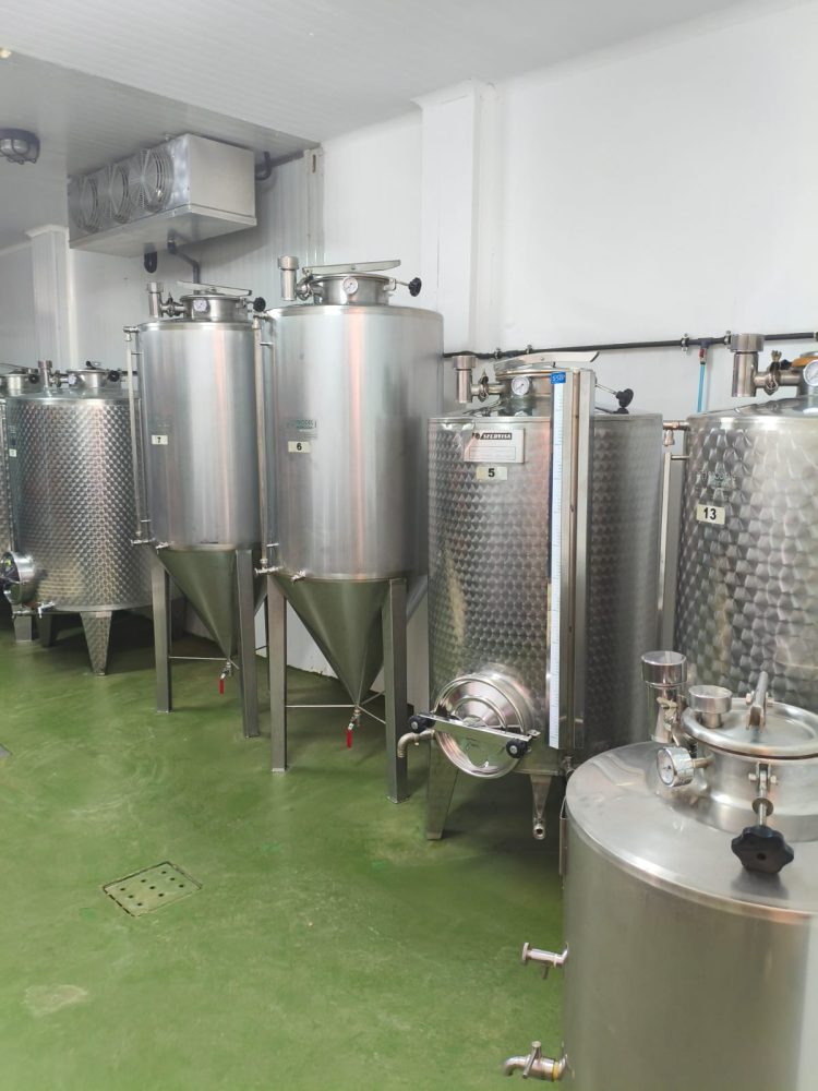 La Almazara Municipal de Ingenio inicia el 28 de septiembre la recogida de aceitunas de la campaña 2026-2027
