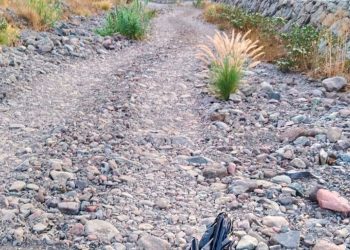 Mogán intensifica la limpieza de los barrancos de cara al invierno