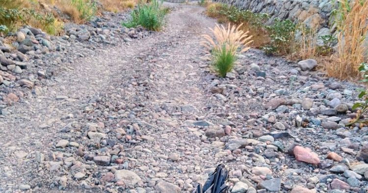 Mogán intensifica la limpieza de los barrancos de cara al invierno