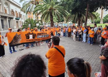 38 concentraciones en España exigen a los ayuntamientos que cumplan la Ley 7/2023 sobre gatos comunitarios