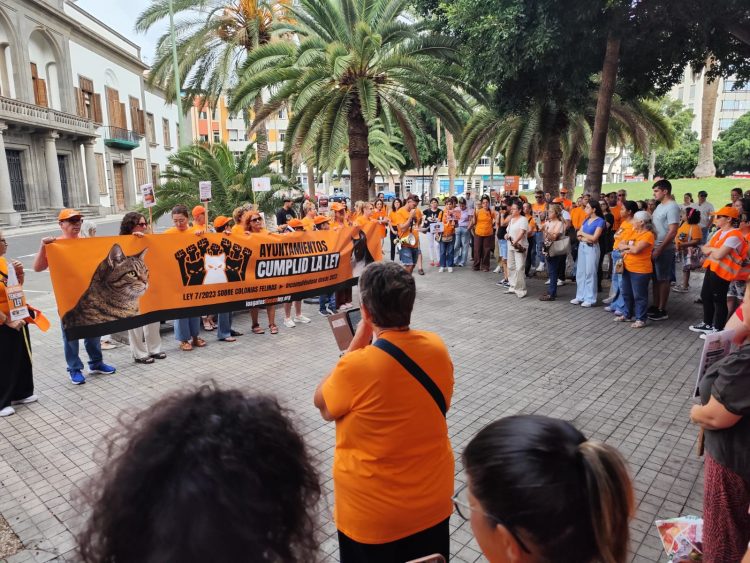 38 concentraciones en España exigen a los ayuntamientos que cumplan la Ley 7/2023 sobre gatos comunitarios