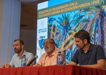El Ayuntamiento elaborará un inventario técnico del palmeral de La Sorrueda y organizará actividades para su conservación