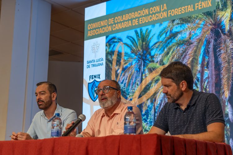 El Ayuntamiento elaborará un inventario técnico del palmeral de La Sorrueda y organizará actividades para su conservación