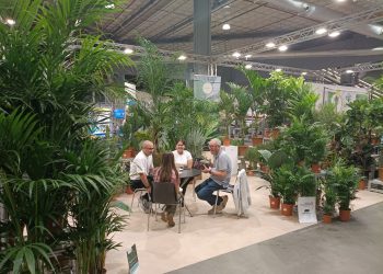 El sector de las flores y plantas siembra sus objetivos de exportación en la mayor feria nacional, Iberflora