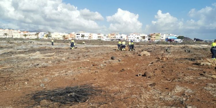 La Mancomunidad del Sureste destina 1’5 millones de euros a la limpieza de invernaderos abandonados