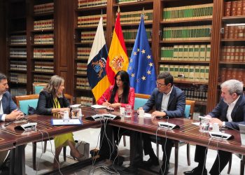Alejandro Marichal: “Nuestro compromiso con la PALT sigue firme y pedimos a todos los partidos que nos ayuden a sacar adelante la ordenanza”